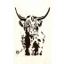 Sine Qua Non Distenta I Syrah (1.5 Liter Magnum) 2019 Front Label