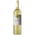Elsa Bianchi Torrontes 2020 Front Bottle Shot