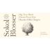 Sokol Blosser Big Tree Block Pinot Noir 2021 Front Label