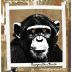 The Infinite Monkey Theorem Sauvignon Blanc Semillon 2012 Front Label