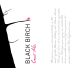 Black Birch Vineyard Corot Noir 2013 Front Label