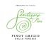 Sentiero dei Pini Pinot Grigio 2015 Front Label