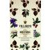 Villarini Nero d'Avola 2020 Front Label