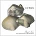 Antica Terra Ceras Pinot Noir 2017 Front Label