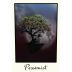 Pessimist Red Blend 2017 Front Label