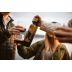 Portlandia Winery Big Believer Cabernet Sauvignon 2023 Portlandia Big Believer Cabernet Gift Product Image