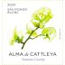 Alma de Cattleya Sauvignon Blanc 2024 Front Label