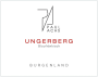 Paul Achs Blaufrankisch Ungerberg 2009 Front Label