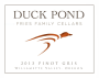 Duck Pond Willamette Valley Pinot Gris 2013 Front Label