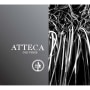 Bodegas Ateca Atteca Old Vine Garnacha 2008 Front Label