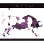 Calcu  2007 Front Label