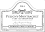 Chavy-Chouet Puligny-Montrachet Les Champs Gain Premier Cru 2014 Front Label