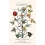 Colosi Nero d'Avola 2008 Front Label