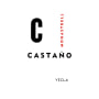 Bodegas Castano Monastrell 2009 Front Label