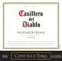 Casillero del Diablo Reserva Sauvignon Blanc 2010 Front Label