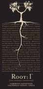 Root:1 Cabernet Sauvignon Reserva 2009 Front Label