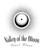 Valley of the Moon Pinot Blanc 2009 Front Label
