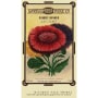 Spring Seed Wine Co. Shiraz 2009 Front Label