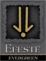 Efeste Evergreen Riesling 2009 Front Label
