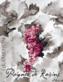 Domaine Gramenon Poignee de Raisins 2011 Front Label