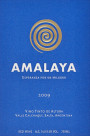 Amalaya Malbec Blend 2009 Front Label