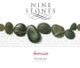 Nine Stones Barossa Shiraz 2009 Front Label