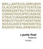 Bodegas Renacer Punto Final Malbec Reserva 2008 Front Label