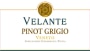 Bertani Velante Pinot Grigio 2009 Front Label