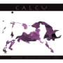 Calcu  2008 Front Label