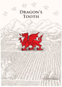 Trefethen Dragon's Tooth Red Blend 2008 Front Label