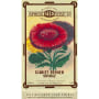 Spring Seed Wine Co. Shiraz 2010 Front Label