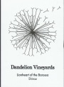 Dandelion Vineyards Lionheart of the Barossa Shiraz 2008 Front Label