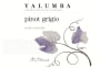 Yalumba Y Series Pinot Grigio 2011 Front Label