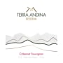 Terra Andina Alto Reserve Cabernet Sauvignon 2009 Front Label