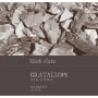 Marc Ripoll Sans Black Slate Priorat 2009 Front Label