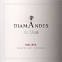 Bodega DiamAndes Uco Malbec 2010 Front Label