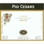 Pio Cesare Langhe Arneis 2010 Front Label