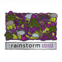 Rainstorm Pinot Noir 2009 Front Label