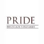 Pride Mountain Vineyards Cabernet Franc (1.5 Liter Magnum) 2002 Front Label