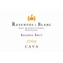 Raventos i Blanc Reserva Brut Cava 2009 Front Label