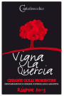 Castelvecchio Vigna La Quercia Chianti Colli Fiorentini Riserva 2013 Front Label