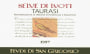 Feudi di San Gregorio Taurasi Selve di Luoti 1997 Front Label