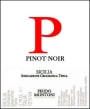 Feudo Montoni P Pinot Noir 2012 Front Label