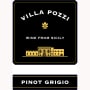 Villa Pozzi Pinot Grigio 2011 Front Label