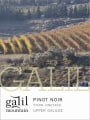 Galil Mountain Winery Pinot Noir 2013 Front Label