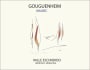 Gouguenheim Valle Escondido Malbec 2011 Front Label