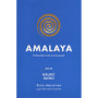 Amalaya Malbec Blend 2011 Front Label