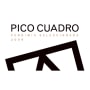 Pico Cuadro Vendimia Seleccionada 2009 Front Label