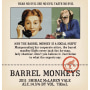 Redheads Studio Barrel Monkeys Shiraz 2011 Front Label
