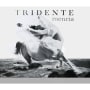 Tridente Tridente Mencia 2011 Front Label
